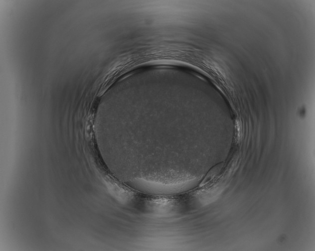 X0000091490237200708161445