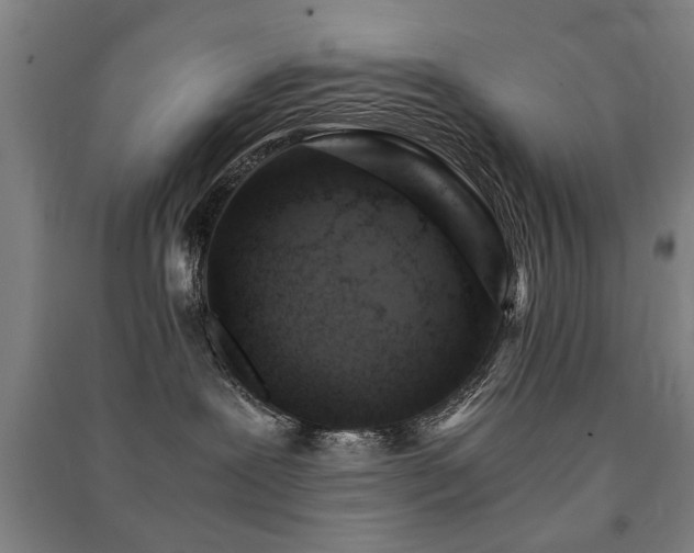 X0000091490239200708161444