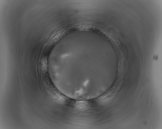 X0000091490240200708161444