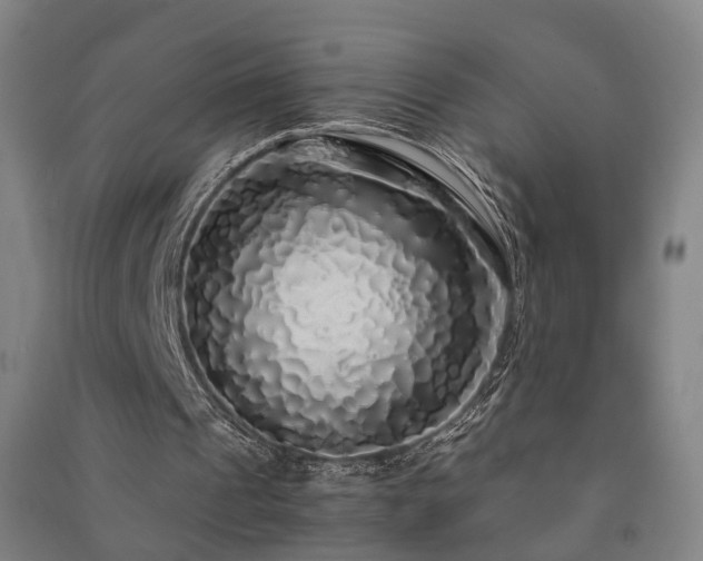 X0000091490241200708161444