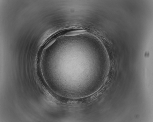 X0000091490242200708161444