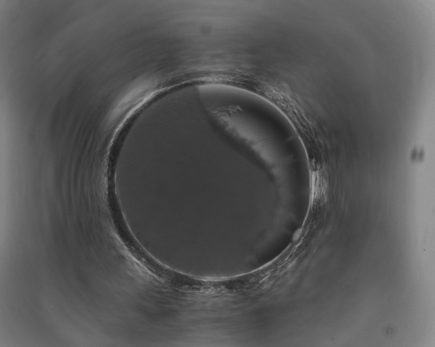 X0000091490243200708161444