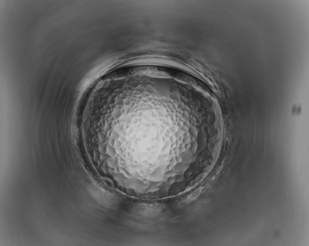 X0000091490245200708161444
