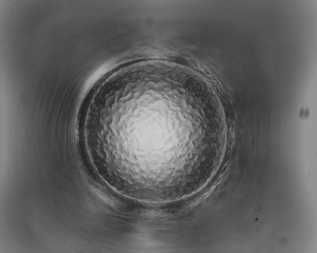 X0000091490246200708161444