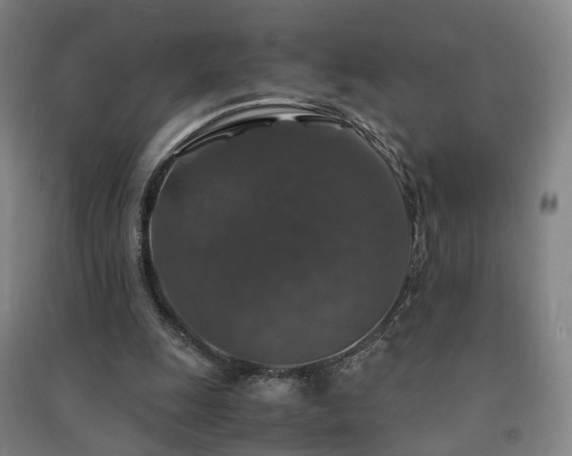X0000091490247200708161444
