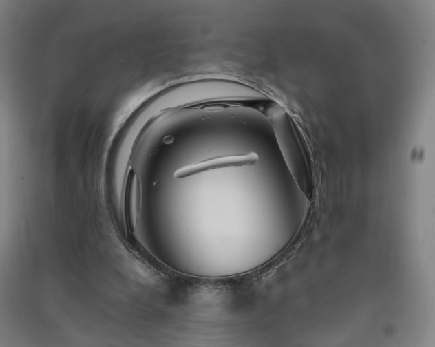 X0000091490248200708161444