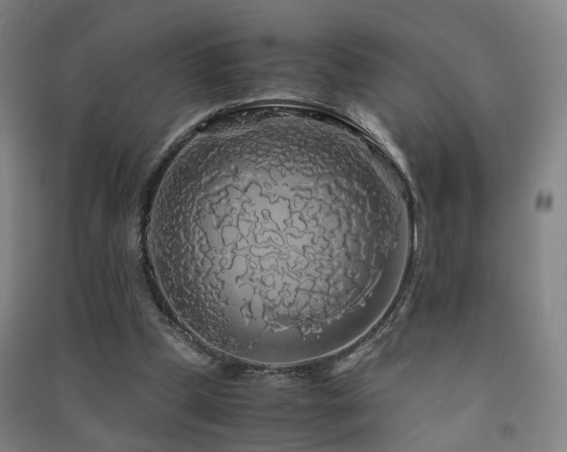 X0000091490249200708161444