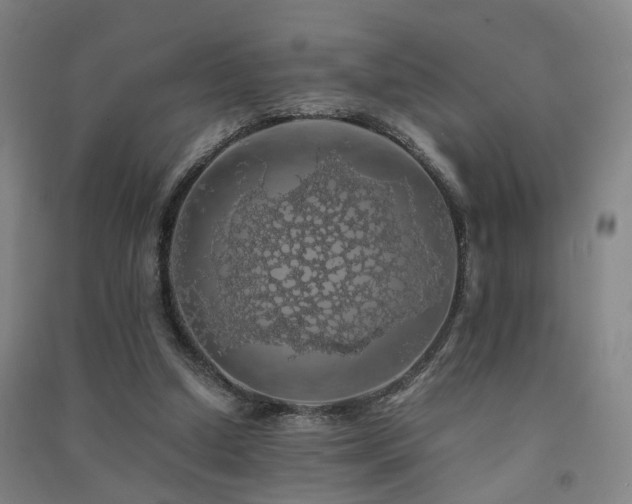 X0000091490250200708161444