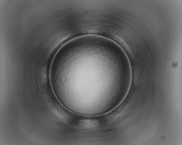 X0000091490251200708161444