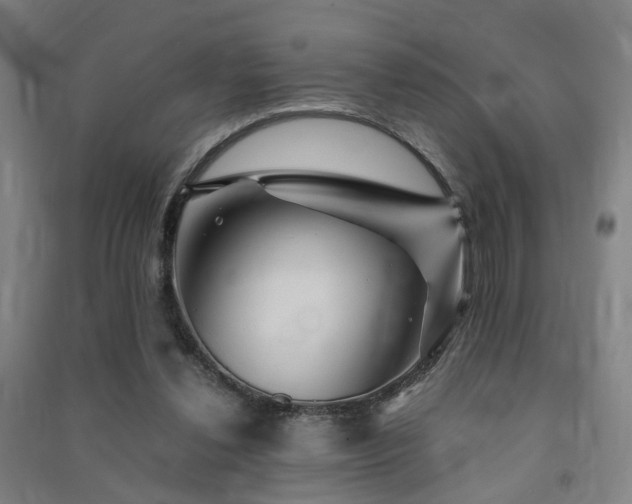 X0000091490252200708161444