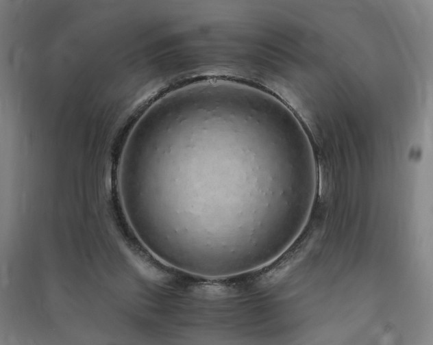 X0000091490253200708161444