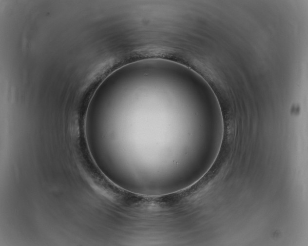 X0000091490254200708161444