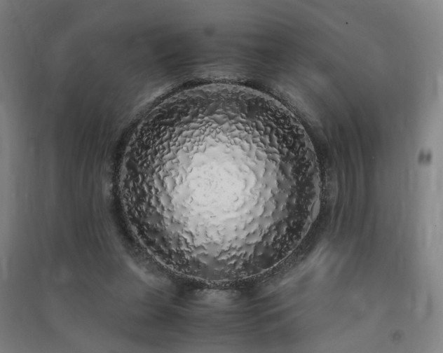 X0000091490255200708161444