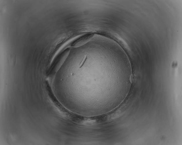 X0000091490257200708161444