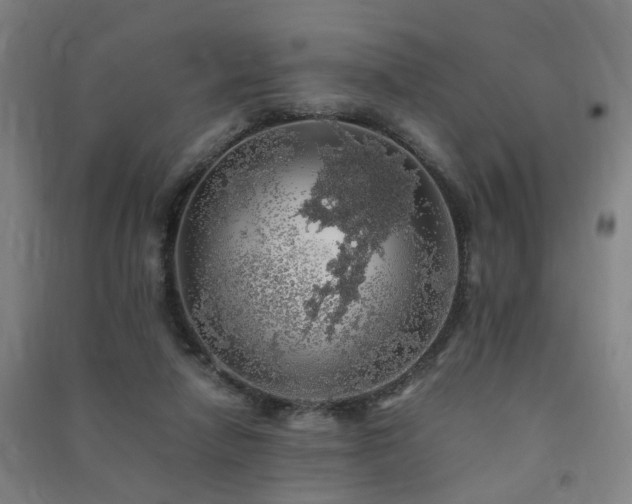 X0000091490258200708161444