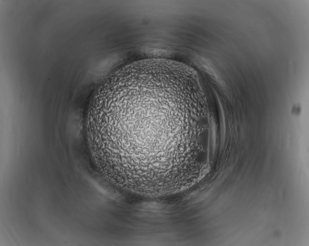 X0000091490259200708161444
