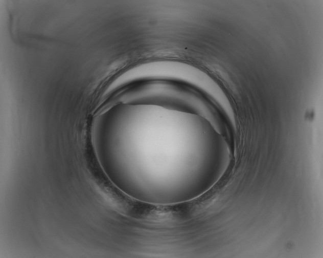 X0000091490260200708161444