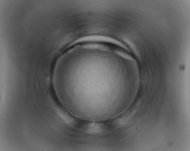 X0000091490261200708161444