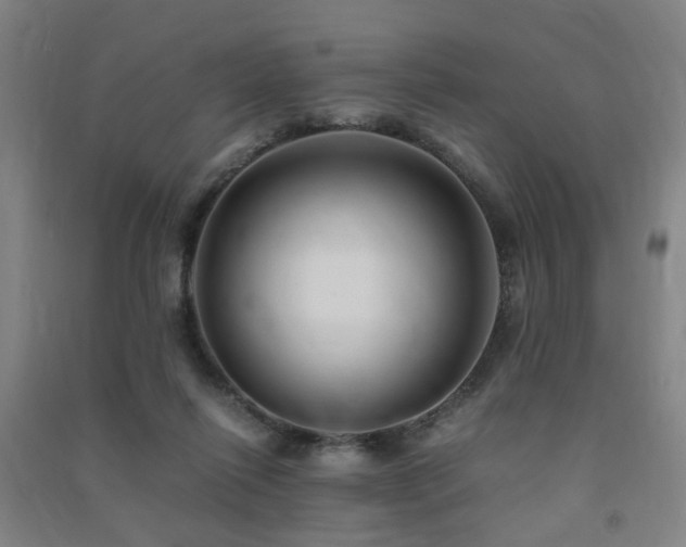 X0000091490262200708161444