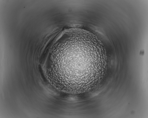 X0000091490263200708161444