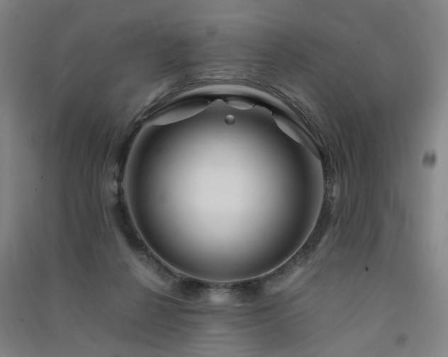 X0000091490264200708161444