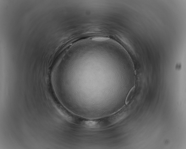 X0000091490265200708161444