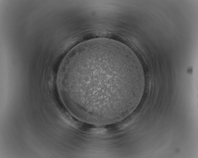 X0000091490266200708161444