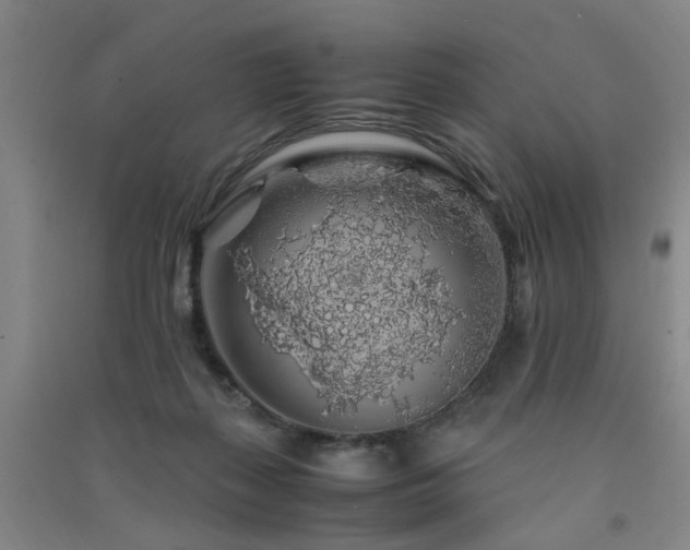 X0000091490267200708161444