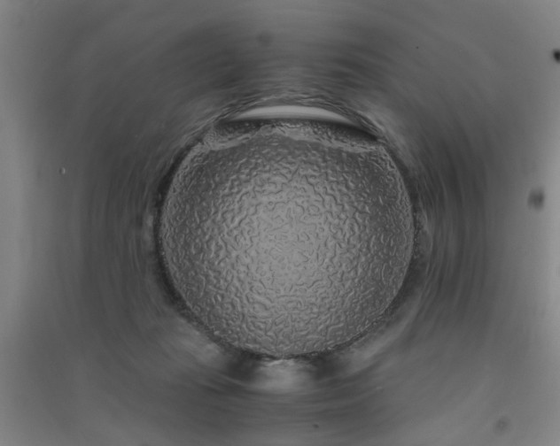 X0000091490269200708161444