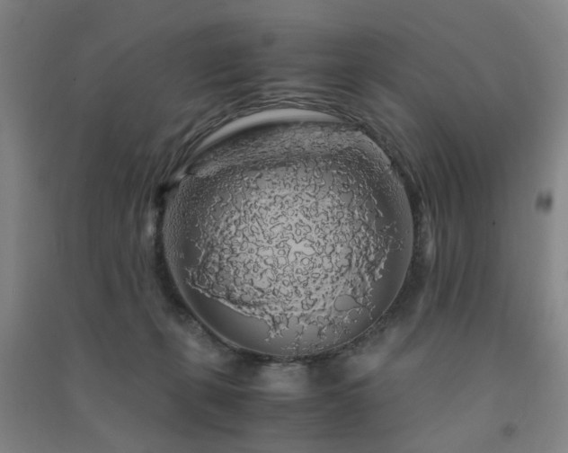 X0000091490271200708161444