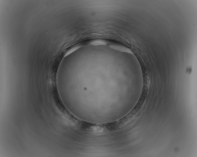 X0000091490272200708161444
