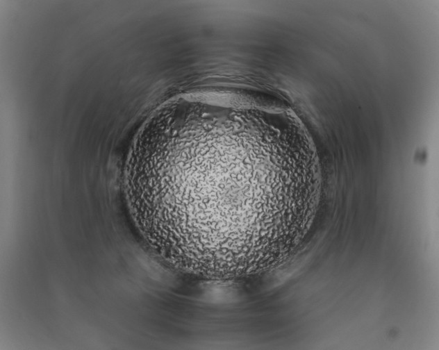 X0000091490273200708161444