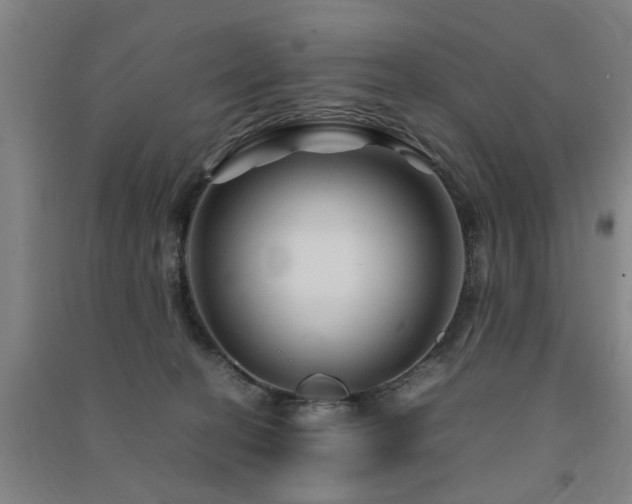 X0000091490274200708161444