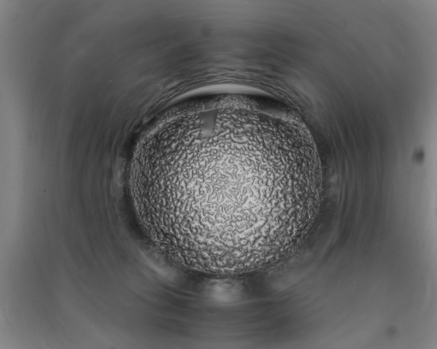 X0000091490275200708161444