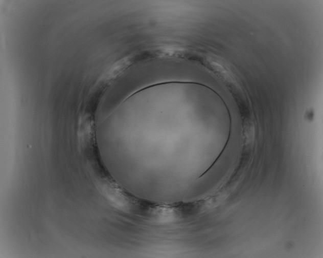 X0000091490276200708161444