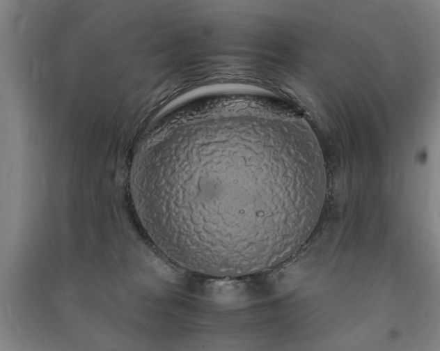 X0000091490277200708161444