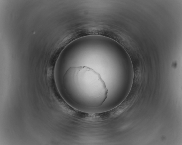 X0000091490278200708161444