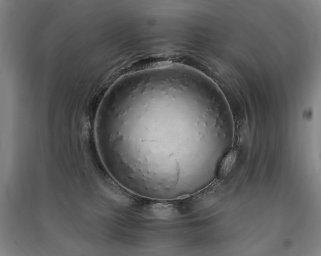 X0000091490279200708161444