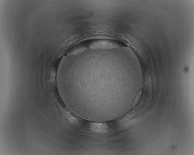 X0000091490281200708161444