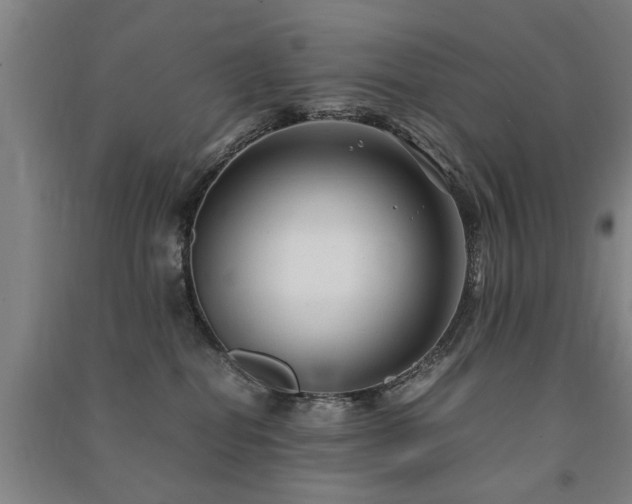 X0000091490282200708161444