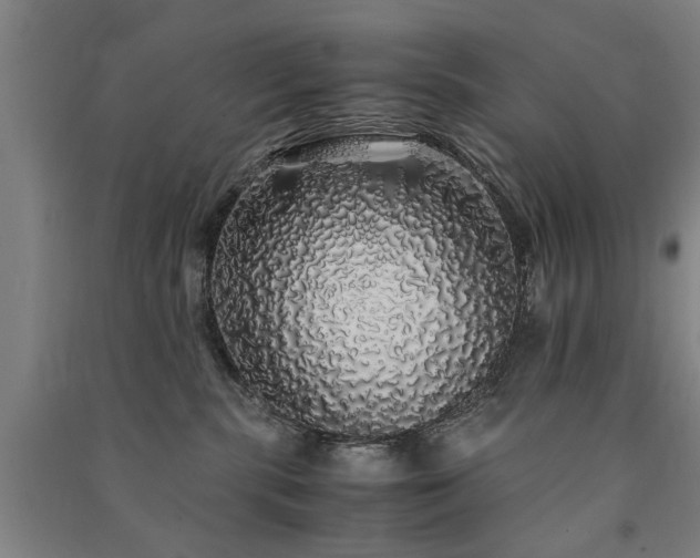 X0000091490283200708161444