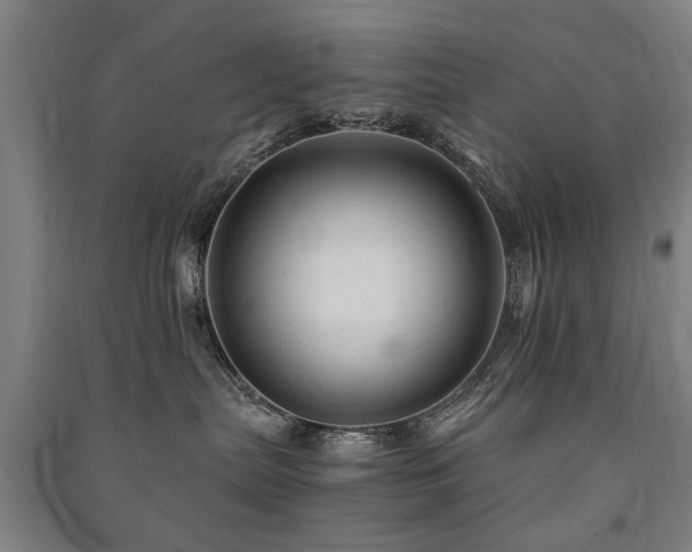 X0000091490287200708161444
