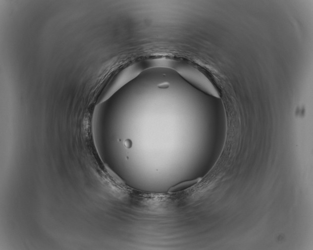 X0000091490288200708161444