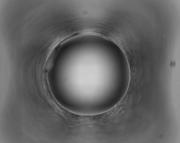 X0000091490289200708161444
