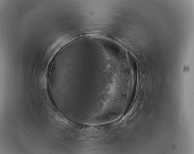 X0000091490290200708161444
