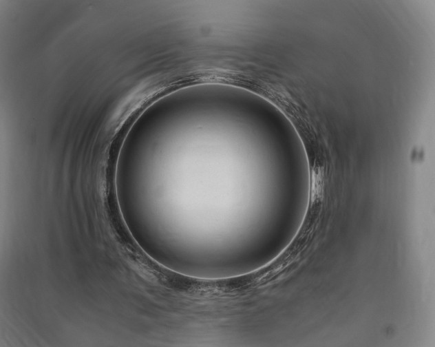 X0000091490291200708161444