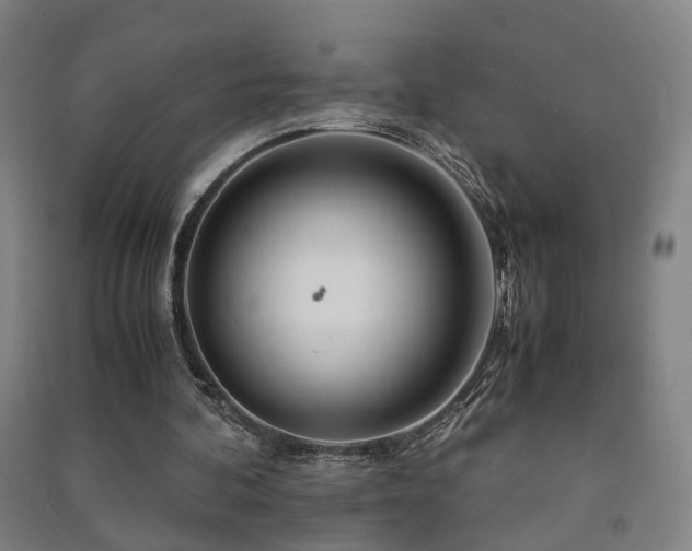 X0000091490292200708161444