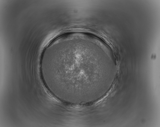 X0000091490293200708161444