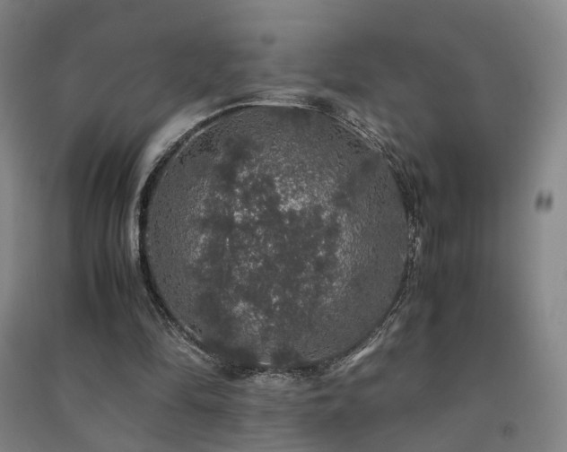 X0000091490294200708161444