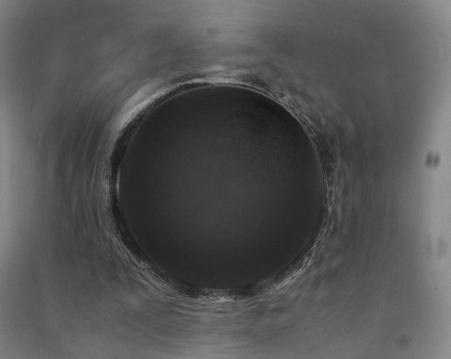 X0000091490295200708161444